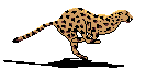 http://freepascal.org
